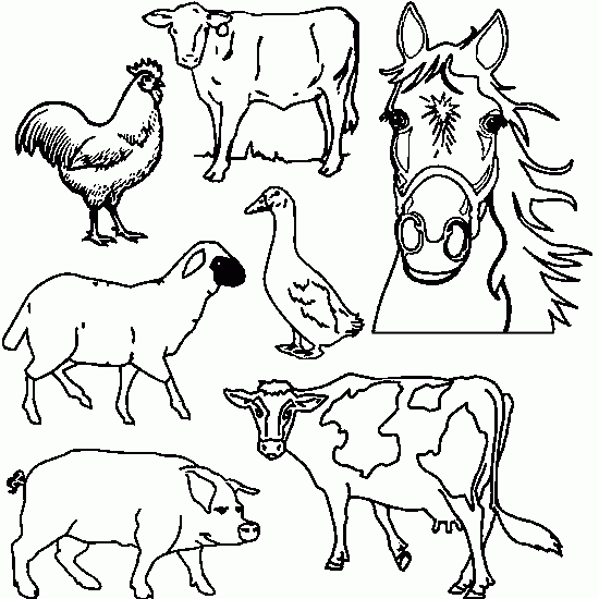 Animales de granja para pintar