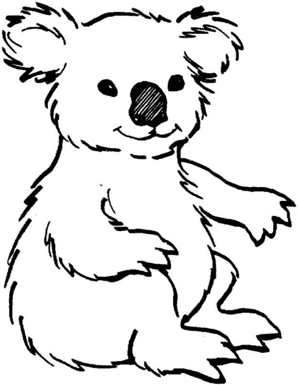 Koala para pintar